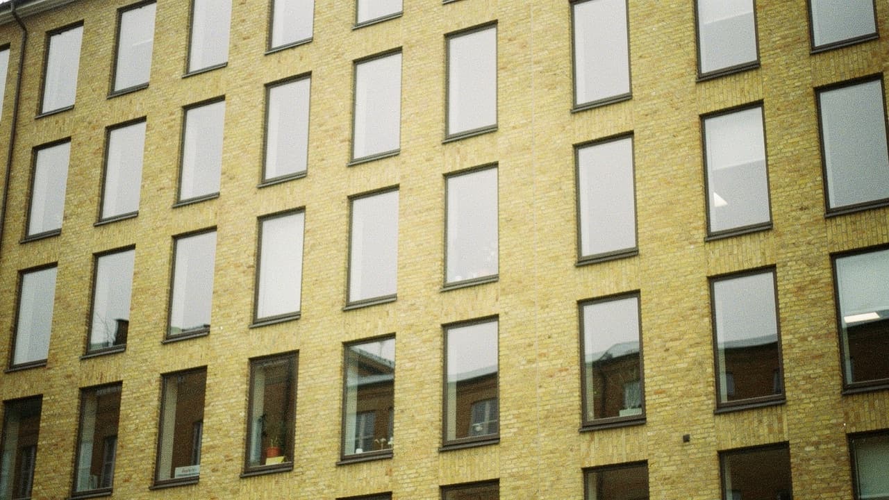 Yellow-brick facade detail with a rhythmic window grid